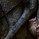Illustration for article titled The Best Biology Photos Of 2014 Will Take You To Another World